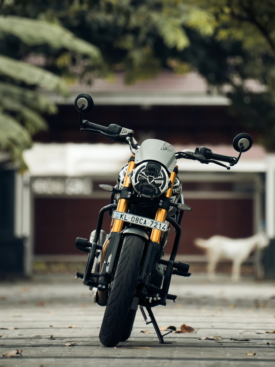 LCB TRIUMPH SPEED 400 THANOS CRASH GUARD WITH SLIDER